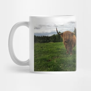 Scottish Highland Cattle Cow 2406 Mug